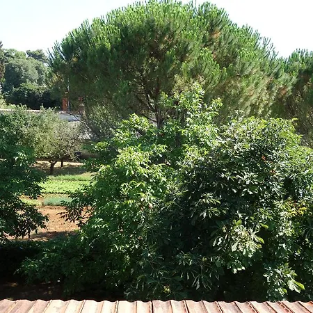 Blaskovic Apartmán *